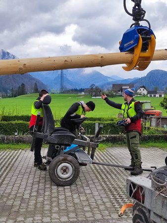 Maibaum 2023
